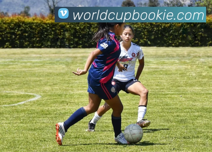 世界杯在线购彩品牌故事